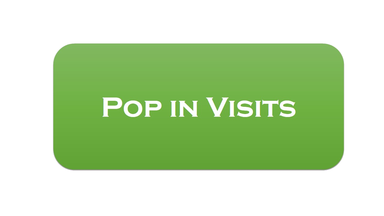 Pop in Visits Button